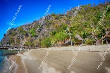 Body of water, Beach, Coast, Shore, Sea, Natural landscape, Tree, Tropics, Coastal and oceanic landforms, Sand 