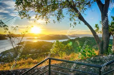 Nature, Sky, Natural landscape, Vegetation, Morning, Sunrise, Tree, Sunlight, Property, Atmospheric phenomenon 