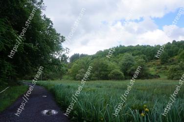 Vegetation, Natural landscape, Nature, Nature reserve, Natural environment, Meadow, Grass, Grassland, Road, Field 