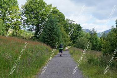Natural landscape, Trail, Tree, Nature reserve, Road, Thoroughfare, Biome, Grass family, Grass, Path 