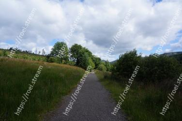 Road, Natural landscape, Sky, Vegetation, Natural environment, Grass, Cloud, Trail, Tree, Thoroughfare 