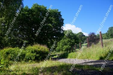 Natural landscape, Vegetation, Tree, Nature, Nature reserve, Natural environment, Grass, Plant community, Biome, Property 