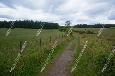 Pasture, Grassland, Natural landscape, Natural environment, Meadow, Land lot, Dirt road, Field, Grass, Rural area 