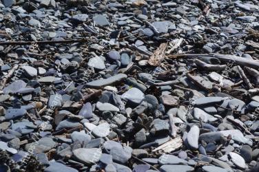 Rock, Rubble, Gravel, Bedrock, Plant 