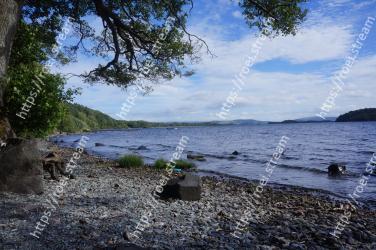 Body of water, Shore, Water, Sky, Sea, Coast, Natural landscape, Tree, Rock, Ocean 