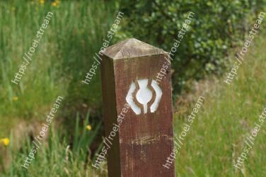 Grass, Tree, Number, Wood, Plant 