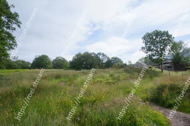 Natural landscape, Vegetation, Natural environment, Grassland, Nature reserve, Meadow, Land lot, Grass, Pasture, Shrubland 