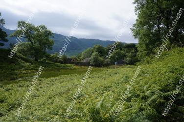 Vegetation, Natural landscape, Nature, Highland, Nature reserve, Natural environment, Green, Grassland, Wilderness, Tree 