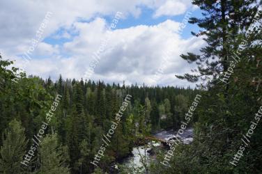 Nature, Nature reserve, Tree, Tropical and subtropical coniferous forests, Natural environment, Wilderness, Natural landscape, Forest, Vegetation, Biome 