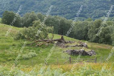 Vegetation, Natural landscape, Grassland, Nature reserve, Natural environment, Wilderness, Meadow, Grass, Hill, Pasture 