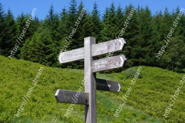 Nature reserve, Natural landscape, Biome, Meadow, Mountain, Tree, Mountain range, Cross, Alps, Grassland 