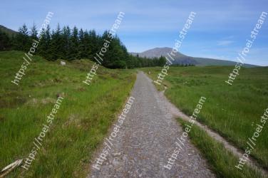 Dirt road, Grassland, Road, Highland, Grass, Natural landscape, Natural environment, Hill, Meadow, Path 