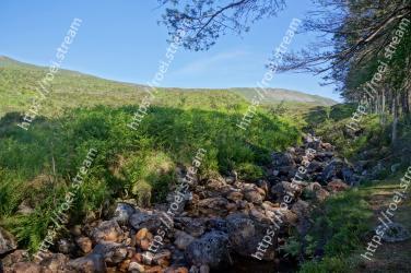 Nature, Vegetation, Natural landscape, Wilderness, Natural environment, Mountainous landforms, Highland, Hill, Nature reserve, Fell 