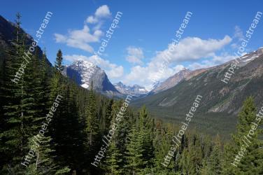 Mountainous landforms, Mountain, Highland, Wilderness, Nature, Natural landscape, Mountain range, Sky, Valley, Tree Edith Cavell