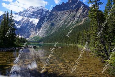 Mountain, Mountainous landforms, Nature, Natural landscape, Wilderness, Reflection, Lake, Mountain range, Tree, Tarn Mount Edith Cavell