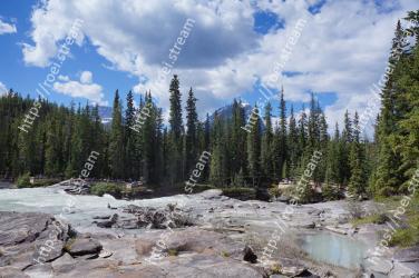 Larix lyalliiSubalpine Larch, Wilderness, Nature, Tree, Natural environment, Tropical and subtropical coniferous forests, Mountainous landforms, Biome, Nature reserve, Mountain 