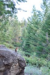 Vegetation, Nature reserve, Rock, Formation, Tree, Outcrop, Escarpment, Geology, Plant, Cliff 