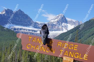 Mountainous landforms, Mountain, Mountain range, Natural landscape, Wilderness, Alps, Sky, National park, Ridge, Glacier Mushroom Peak