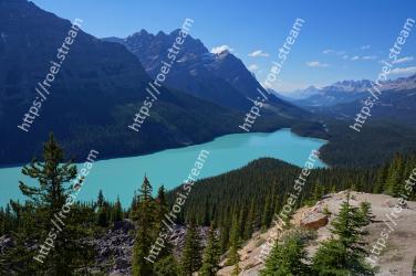 Mountainous landforms, Mountain, Wilderness, Nature, Larix lyalliiSubalpine Larch, Mountain range, Ridge, Highland, Sky, Alps Peyto Lake, Canadian Rockies, Peyto Lake, Canada Lake