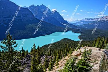 Mountainous landforms, Mountain, Larix lyalliiSubalpine Larch, Nature, Wilderness, Natural landscape, Mountain range, Highland, Moraine, Ridge Peyto Lake, Canadian Rockies, Peyto Lake, Canada Lake