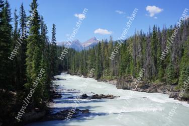 Body of water, Nature, Wilderness, River, Water, Mountain, Mountain river, Natural landscape, Mountainous landforms, Tree Yoho National Park