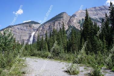 Mountainous landforms, Mountain, Larix lyalliiSubalpine Larch, Wilderness, Nature, Natural landscape, Tree, Natural environment, Nature reserve, Ridge Takakkaw Falls