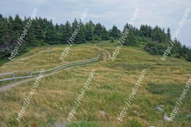 Grass, Road, Land lot, Slope, Grassland, Pasture, Tree, Thoroughfare, Mountain pass, Hill 