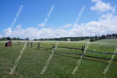 Pasture, Grassland, Land lot, Natural environment, Meadow, Natural landscape, Fence, Farm, Field, Rural area 