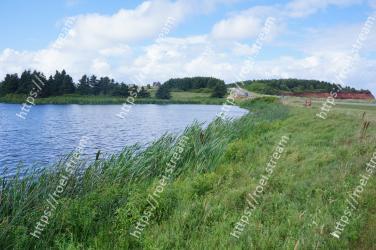 Natural landscape, Body of water, Water resources, Nature, Vegetation, Natural environment, Bank, Nature reserve, Reservoir, Water 