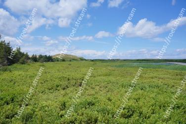Grassland, Vegetation, Natural landscape, Natural environment, Pasture, Green, Nature reserve, Sky, Grass, Meadow 