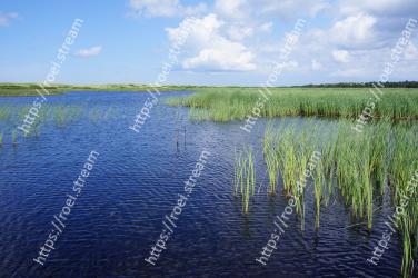 Natural landscape, Freshwater marsh, Marsh, Natural environment, Water resources, Nature, Water, Nature reserve, Vegetation, Wetland 