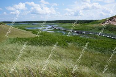 Grassland, Natural landscape, Natural environment, Grass, Green, Water resources, Nature reserve, Ecoregion, Grass family, Plain 