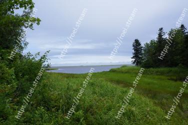 Natural landscape, Nature, Natural environment, Vegetation, Nature reserve, Green, Grass, Tree, Wilderness, Sky 