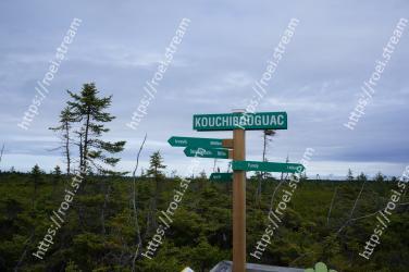 Street sign, Signage, Sign, Nature reserve, Road, Sky, Tree, Mountain range, Infrastructure, Hill station 