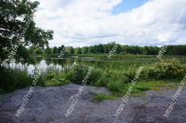 Natural landscape, Natural environment, Nature, Nature reserve, Vegetation, Tree, Water, Bank, Wilderness, Land lot 