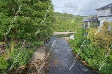 Nature, Vegetation, Property, Tree, Nature reserve, Grass, Botany, House, River, Real estate 