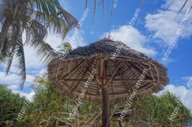Sky, Tree, Palm tree, Hut, Arecales, Plant, Grass, Thatching, House, Photography 