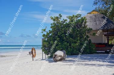 Beach, Vacation, Caribbean, Tropics, Ocean, Tree, Sea, Shore, Summer, Tourism 