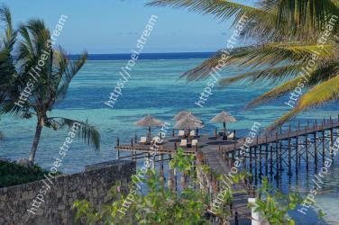 Tree, Sea, Palm tree, Tropics, Ocean, Vacation, Coast, Azure, Sky, Shore 