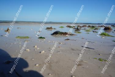 Water, Natural environment, Water resources, Sea, Sky, Mudflat, Shore, Ocean, Beach, Sand 