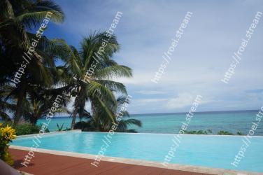 Swimming pool, Resort, Tree, Tropics, Property, Caribbean, Vacation, Palm tree, Arecales, Sea 