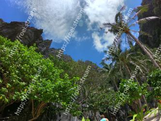 Vegetation, Nature, Sky, Tree, Jungle, Natural environment, Wilderness, Biome, Nature reserve, Rainforest 