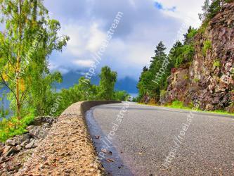 Road, Nature, Asphalt, Sky, Tree, Natural landscape, Road surface, Thoroughfare, Leaf, Infrastructure 