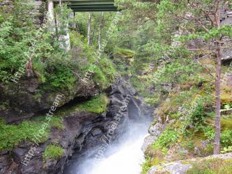 Nature, Watercourse, Stream, Water, Vegetation, Water resources, Nature reserve, Natural environment, Riparian zone, Natural landscape 