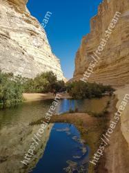 Body of water, Nature, Wadi, Water, Narrows, Reflection, River, Water resources, Canyon, Rock Ein Avdat